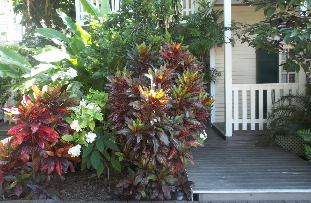 Duval House Acomodação com café da manhã Key West Exterior foto